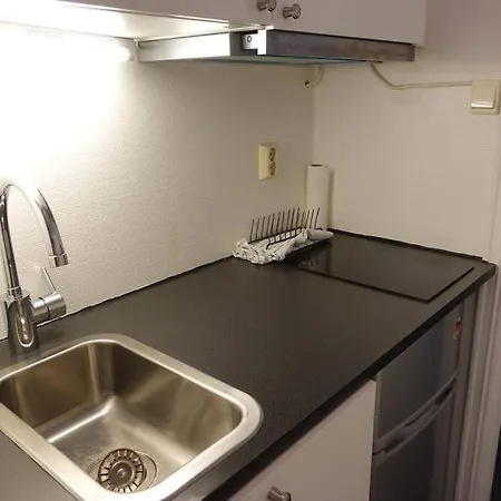 Apartment Just Behind The Royal Palace Oslo